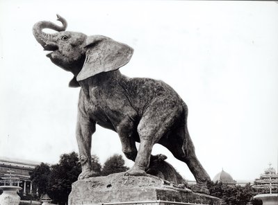 Trocadero Sarayı önünde Emmanuel Fremiet (1824-1910) tarafından Tuzağa Yakalanan Genç Fil (1878), Evrensel Sergi (1878), Paris, 1888 by Adolphe Giraudon