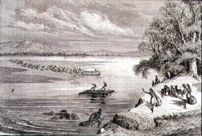1860