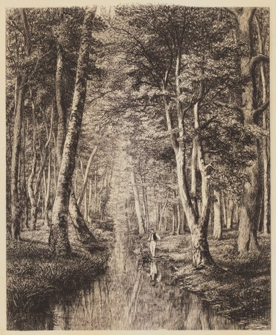 ahşap altında nehir by Adolphe Martial Potemont