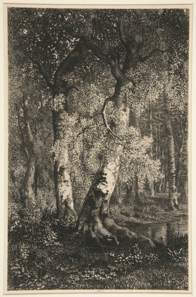 Kayınlar by Adolphe Martial Potemont