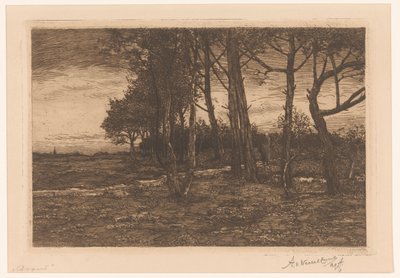 Ağaçlar ile manzara Akşam (nesne üzerindeki başlık) by Adolphe P.H J. van Weezel Errens (signed by artist)