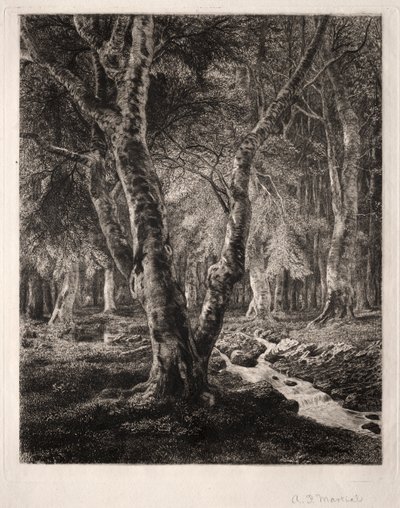 Pierrefonds Ormanı by Adolphe Théodore Jules Martial Potémont