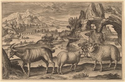Keçi, Koyun ve Koç by Adriaen Collaert
