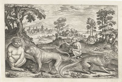 maymunlar Dört ayaklı hayvanlar (dizi adı) Animalivm Qvaddrvpedvm (dizi başlığı) by Adriaen Collaert