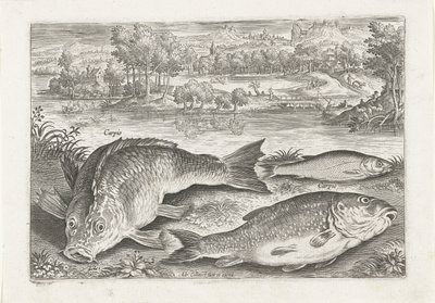Bir bankada üç sazan Balık tutma (dizi adı) Piscium vivae simgeleri (seri başlığı) by Adriaen Collaert