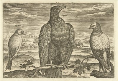 Bir manzara içinde üç kuş Avium Vivae (dizi adı) Kuşlar (dizi adı) by Adriaen Collaert