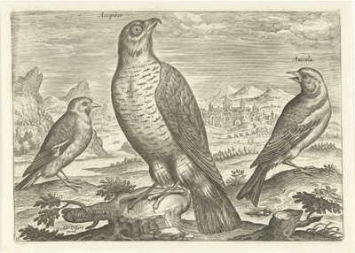 Bir manzara içinde üç kuş Kuşlar (dizi adı) Avium vivae (dizi adı) by Adriaen Collaert