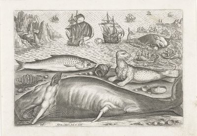 Sahilde bir kefal, bir deniz aslanı ve bir balina Balık tutma (dizi adı) Piscivm vivae simgeleri (seri başlığı) by Adriaen Collaert