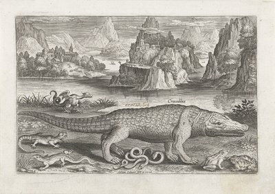 Bir kıyıda bazı sürüngenler ve amfibiler Balık tutma (dizi adı) Piscivm vivae simgeleri (seri başlığı) by Adriaen Collaert