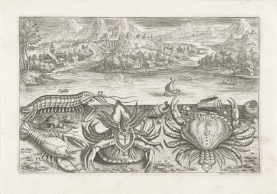 Sahilde bazı kabuklular Balık tutma (dizi adı) Piscium vivae simgeleri (seri başlığı) by Adriaen Collaert