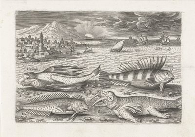 Sahilde biraz balık ve bir deniz aygırı Balık tutma (dizi adı) Piscivm vivae simgeleri (seri başlığı) by Adriaen Collaert