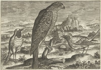 Bir manzarada bazı kuşlar Kuşlar (dizi adı) Avivm vivae (dizi adı) by Adriaen Collaert