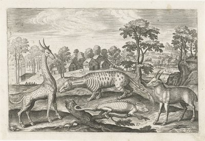 egzotik hayvanlar Dört ayaklı hayvanlar (dizi adı) Animalivm Qvaddrvpedvm (dizi başlığı) by Adriaen Collaert