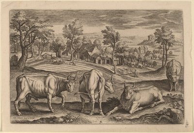 dört boğa by Adriaen Collaert