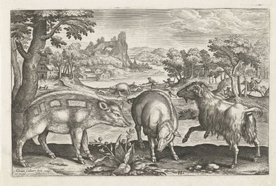 Keçi ve domuz Dört ayaklı hayvanlar (dizi adı) Animalivm Qvaddrvpedvm (dizi başlığı) by Adriaen Collaert