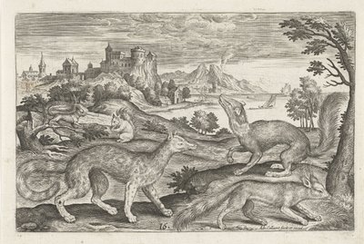 Martens, sincap ve tilki Dört ayaklı hayvanlar (dizi adı) Animalivm Qvaddrvpedvm (dizi başlığı) by Adriaen Collaert
