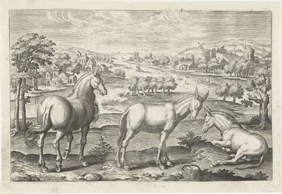at ve eşekler Dört ayaklı hayvanlar (dizi adı) Animalivm Qvaddrvpedvm (dizi başlığı) by Adriaen Collaert