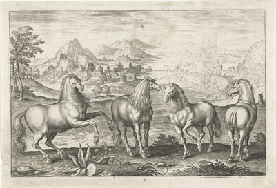 Atlar Dört ayaklı hayvanlar (dizi adı) Animalivm Qvaddrvpedvm (dizi başlığı) by Adriaen Collaert