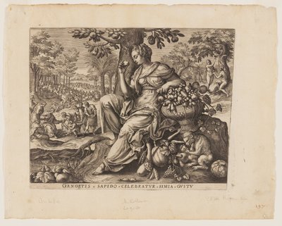  by Adriaen Collaert
