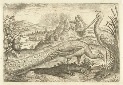 Bir manzarada iki kuş Avium Vivae (dizi adı) Kuşlar (dizi adı) by Adriaen Collaert