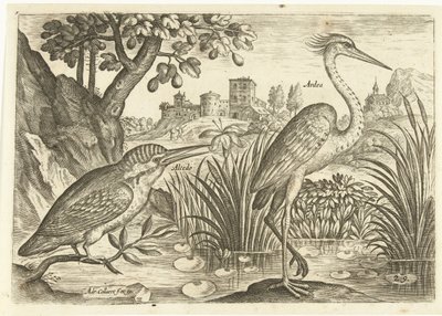 Bir manzarada iki kuş Kuşlar (dizi adı) Avium Vivae (dizi adı) by Adriaen Collaert