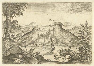Bir manzarada iki kuş Kuşlar (dizi adı) Avium Vivae (dizi adı) by Adriaen Collaert