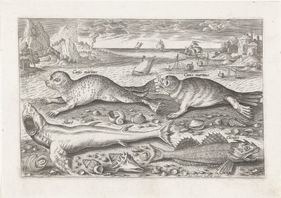Sahilde iki fok ve iki balık Balık tutma (dizi adı) Piscivm vivae simgeleri (seri başlığı) by Adriaen Collaert