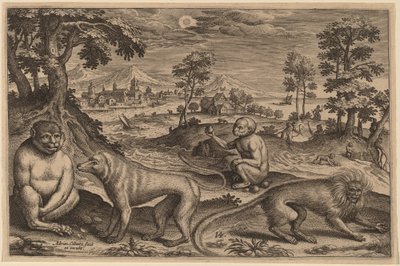 İki Maymun ve İki Maymun by Adriaen Collaert