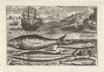 Sahilde dört balık Balık tutma (dizi adı) Piscium vivae simgeleri (seri başlığı) by Adriaen Collaert