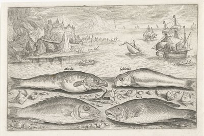 Sahilde dört balık Balık tutma (dizi adı) Piscium vivae simgeleri (seri başlığı) by Adriaen Collaert