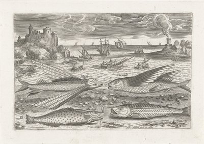Sahilde dört balık Balık tutma (dizi adı) Piscium vivae simgeleri (seri başlığı) by Adriaen Collaert