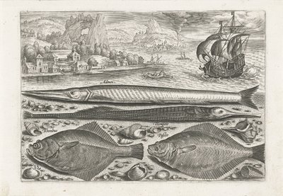 Sahilde dört balık Balık tutma (dizi adı) Piscium vivae simgeleri (seri başlığı) by Adriaen Collaert