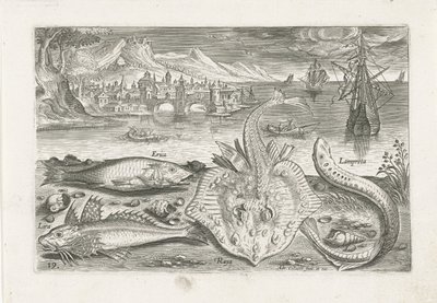 Sahilde dört balık Balık tutma (dizi adı) Piscium vivae simgeleri (seri başlığı) by Adriaen Collaert