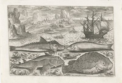 Sahilde dört balık Balık tutma (dizi adı) Piscium vivae simgeleri (seri başlığı) by Adriaen Collaert
