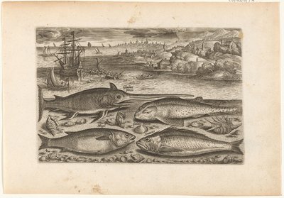 Sahilde dört balık Balık tutma (dizi başlığı) Piscivm vivae simgeleri (dizi başlığı) by Adriaen Collaert