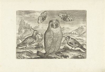 Manzaradaki kuşlar ve kelebekler Kuşlar (dizi adı) Avium vivae (dizi adı) by Adriaen Collaert