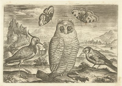 Manzaradaki kuşlar ve kelebekler Kuşlar (dizi adı) Avium vivae (dizi adı) by Adriaen Collaert