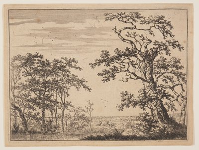  by Adriaen Hendricksz. Verboom