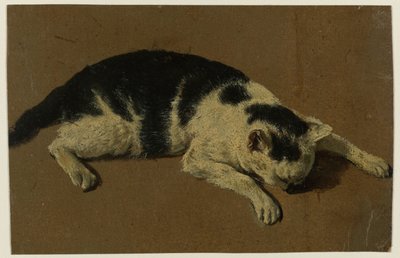 Kafası ön bacaklarının arasında yatan kedi by Adriaen van de Velde (attributed to)