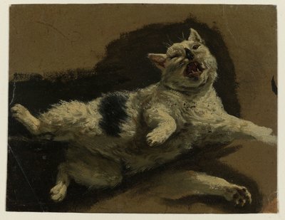 Sırt üstü yatan kedi ve gevşek pençe by Adriaen van de Velde (attributed to)