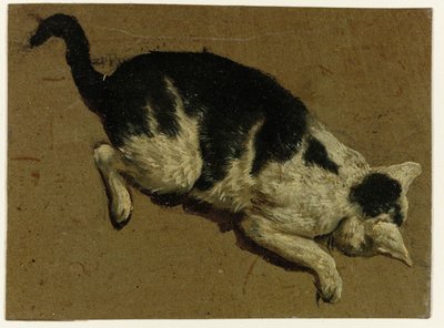 Bir platformdan aşağı bakan kedi by Adriaen van de Velde (attributed to)