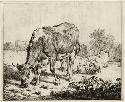  by Adriaen van de Velde