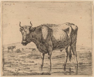 Suda Duran Boğa by Adriaen van de Velde