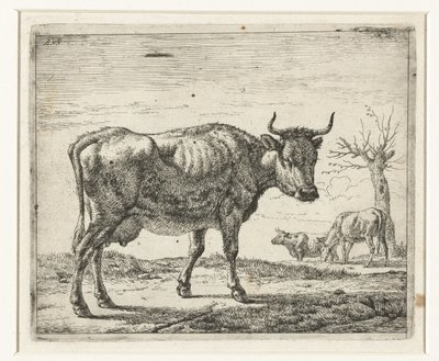 üç inek Farklı hayvanlar (dizi başlığı) by Adriaen van de Velde