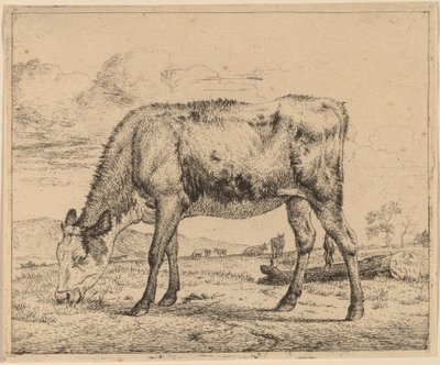 buzağı otlatma by Adriaen van de Velde