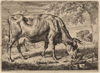 İki Koyunlu Otlayan İnek by Adriaen van de Velde