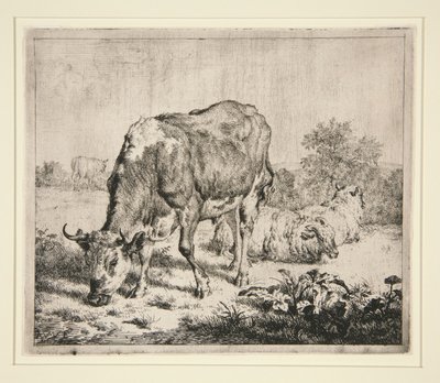 Sığır Böreği ve Üç Koyun by Adriaen van de Velde