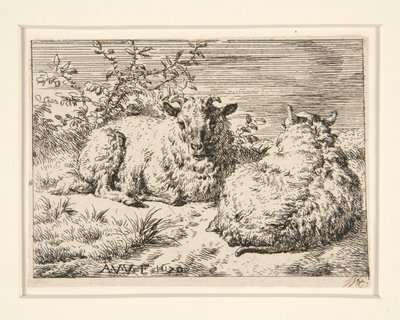 İki Koyun by Adriaen van de Velde