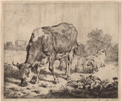Benekli Boğa ve Üç Koyun by Adriaen van de Velde