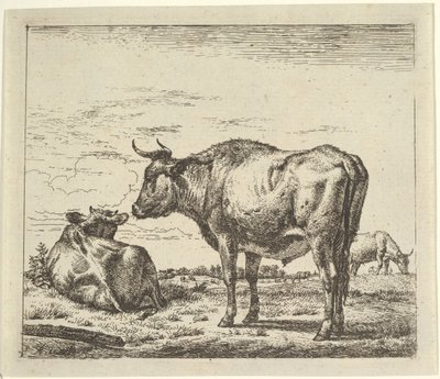 Farklı Hayvanlardan Ayakta Boğa. by Adriaen van de Velde